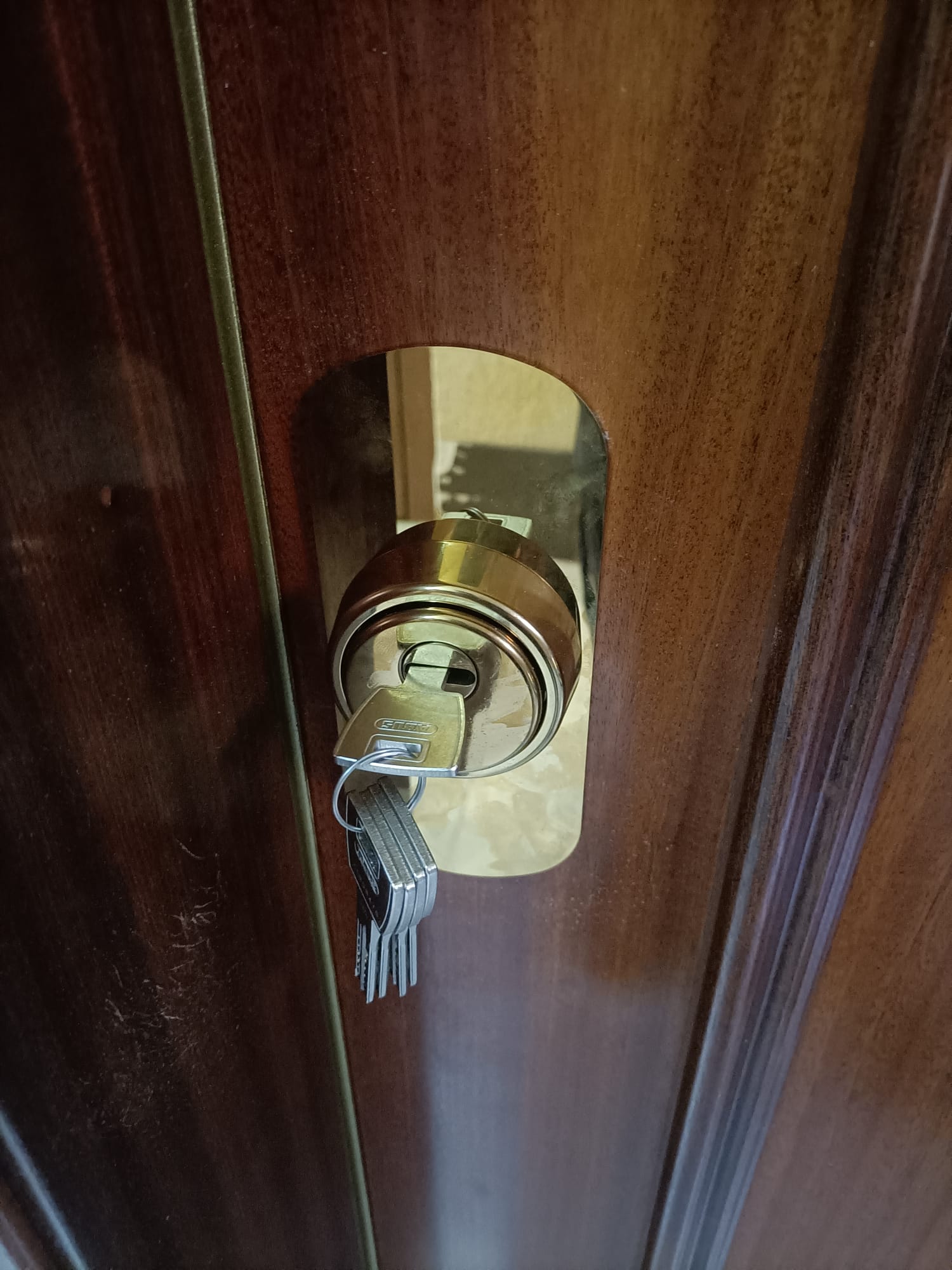 Bombín ABUS con llaves insertado en puerta madera